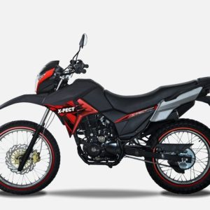 Buy 2025 Lifan X-pect 200 electronic fuel injection, air cooled, 5 speed/manual